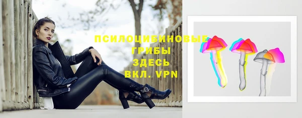 ГАЛЛЮЦИНОГЕННЫЕ ГРИБЫ Сатка