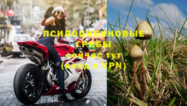 ГАЛЛЮЦИНОГЕННЫЕ ГРИБЫ Сатка