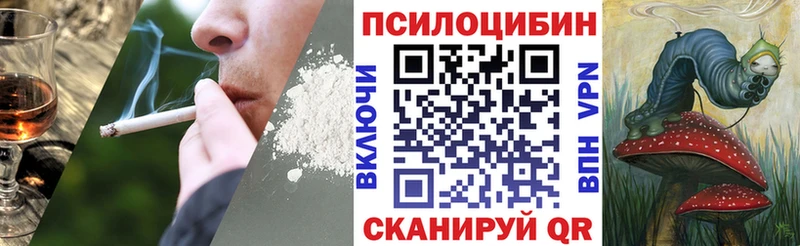 Купить  Елизаветинская  Галлюциногенные грибы Psilocybe 